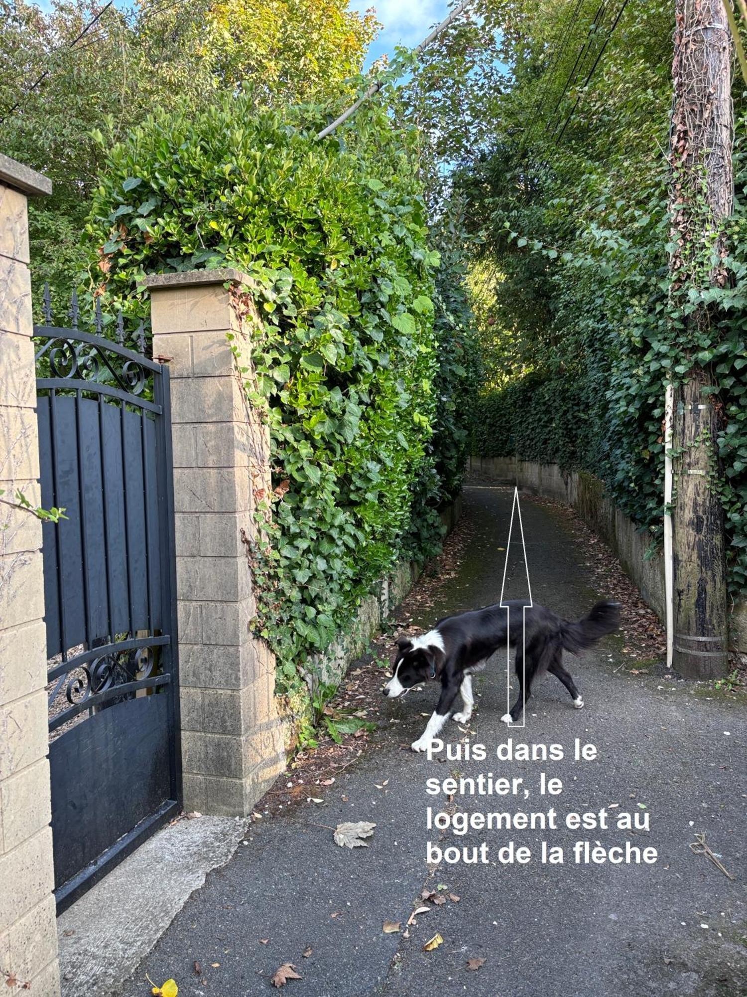 Merig'Home Chambre Bd Climatisee Dans Maison Avec Piscine Au Calme En Ville, Sdb & Toilettes Prives Angoulême Eksteriør bilde